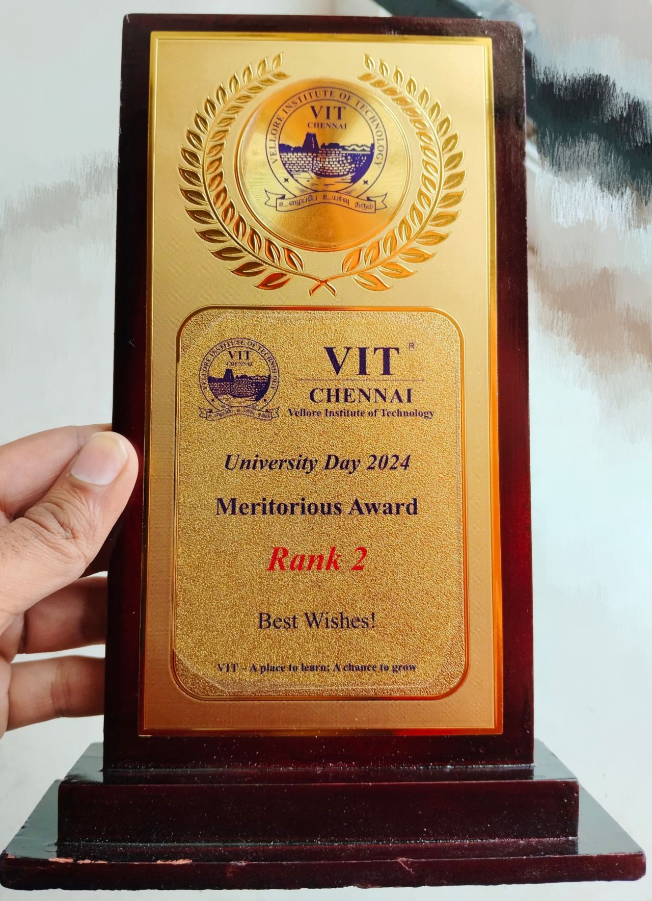 Academic Excellence Award at VIT Chennai